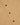 Button Through Polo Fantasy Check Sand 32415S