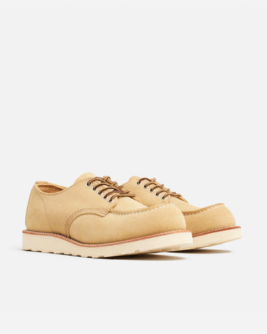 8079 Shop Moc Oxford Hawthrone Abilene