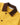 Service Works Waxed Barn Coat Ochre