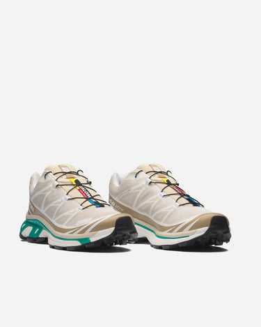 Salomon XT-6 Rainy Day Chinchilla Dinsaty Green L47864300