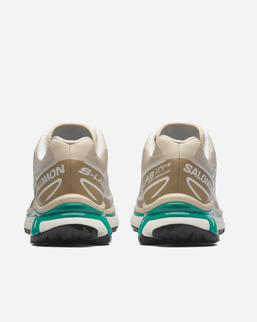 Salomon XT-6 Rainy Day Chinchilla Dinsaty Green L47864300