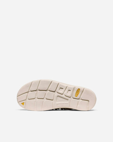 keen_Uneek_Black_Chipmunk